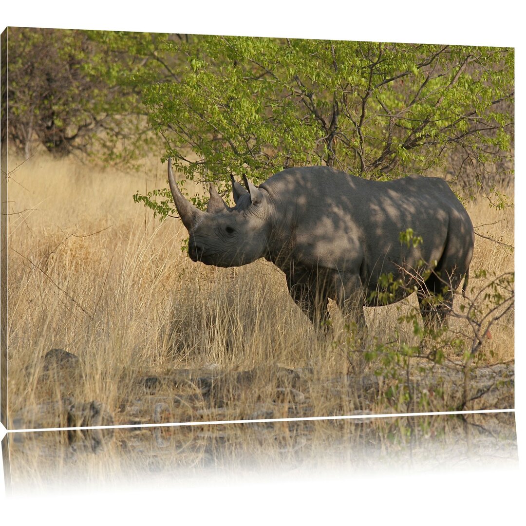 Leinwandbild Nashorn in der Savanne