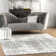 Deedra Modern Abstract Power Loom Performance Gray/White Rug