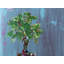 Bonsai Stripes Print by Jphono 1-65828463-65853021