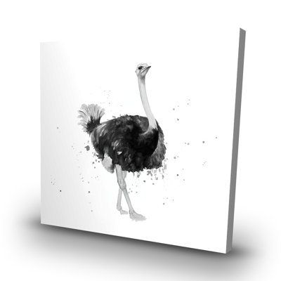 Proud ostrich - 32"x32" art on canvas
