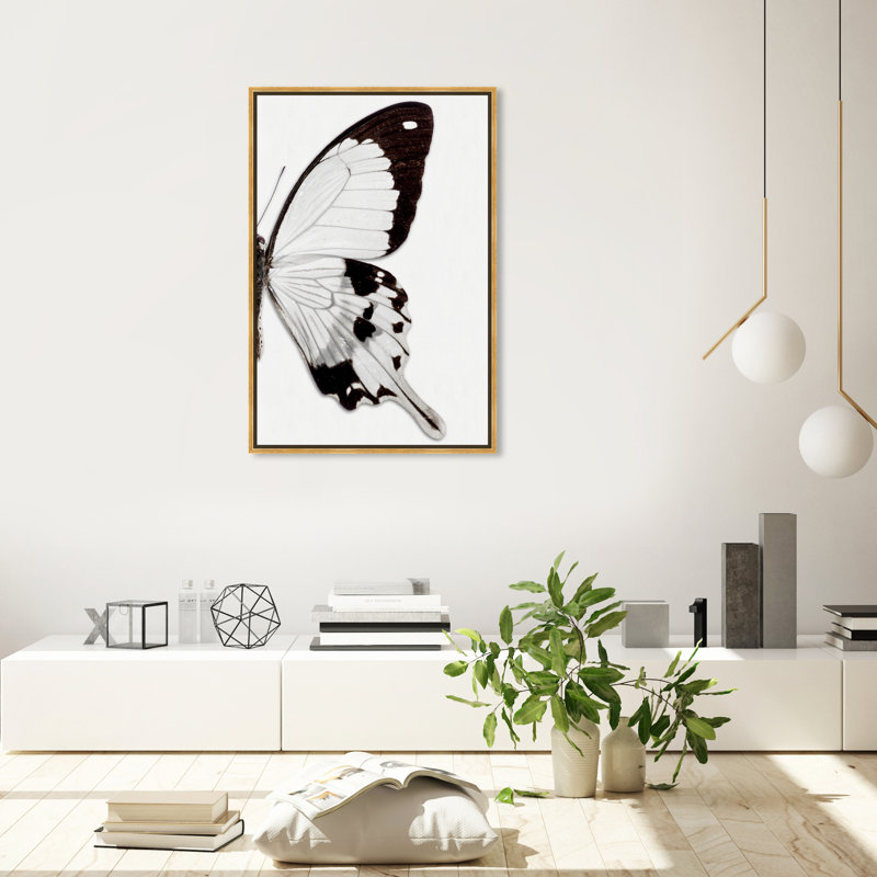 Papillon monochrome II - photographie sur toile, H 36 po x l 24 po, Toile avec cadre doré