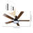 51'' LED Schoohouse Ceiling Fan Light Kit