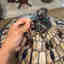 Photos des clients 1 de 2