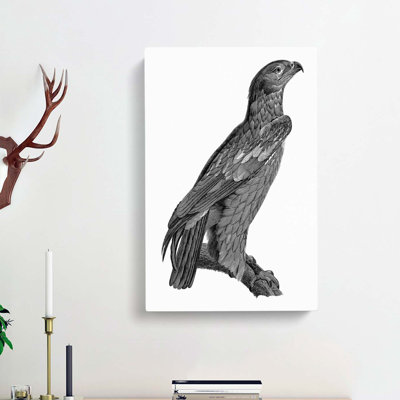 Spotted Eagle Illustration - Wrapped Canvas Print