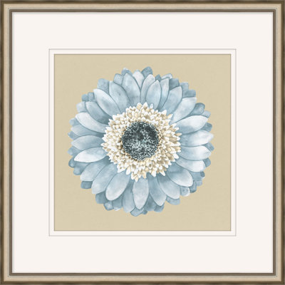 Daisy Daisy 4 Daisy Daisy 4