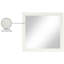 Miroir Arnleif-338544292