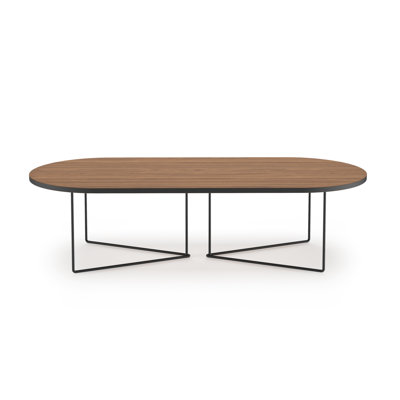 Analeesa Oval Coffee Table