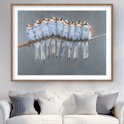 Bunch of Small Birds on a Branch - Blue Bedroom Framed Print