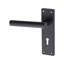  T-Bar Door Handles Set on Lever Backplate in Matt Black Finish Complete with Latch, Lock and 1 Pair of 3" Ball Bearing Hinges
