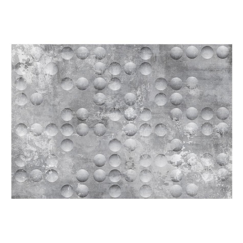 Ammy Polka Dots Wall Mural, Gray, 82" L x 118" W