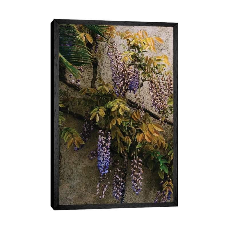 Positano Blooms VIII by Bethany Young - Print on Canvas, 66.04cm H x 45.72cm W x 3.81cm D, Black Framed