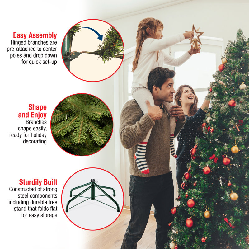 The Holiday Aisle® 7.5 ft. Frosted Alaskan Pine Tree with Clear Lights