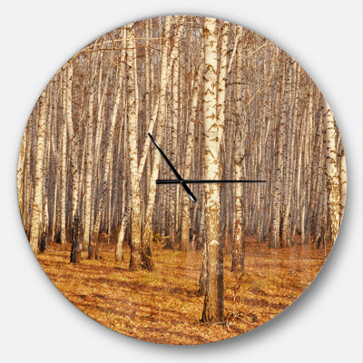 Dense Birch Forest in the Fall - Farmhouse Wall Clock