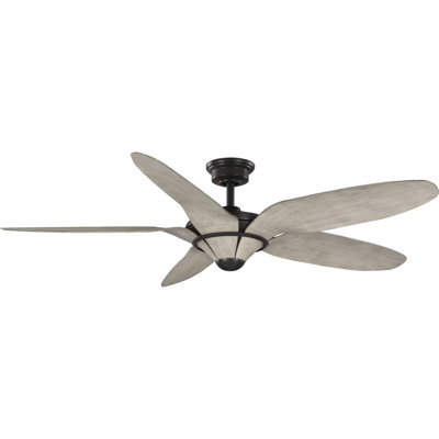 Lucinia 60'' Ceiling Fan