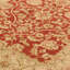 Aguilar Oriental Area Rug-14461916