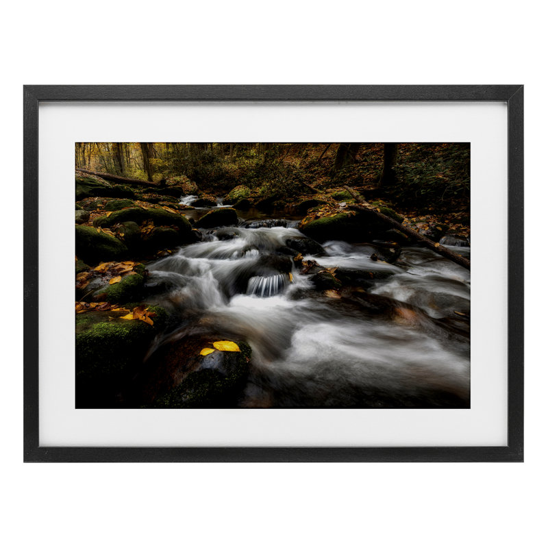 Fallen Leaves on Stream, reproduction encadrée sous verre, design par D. Burt, H 17 po x l 23 po, Cadre noir minuit