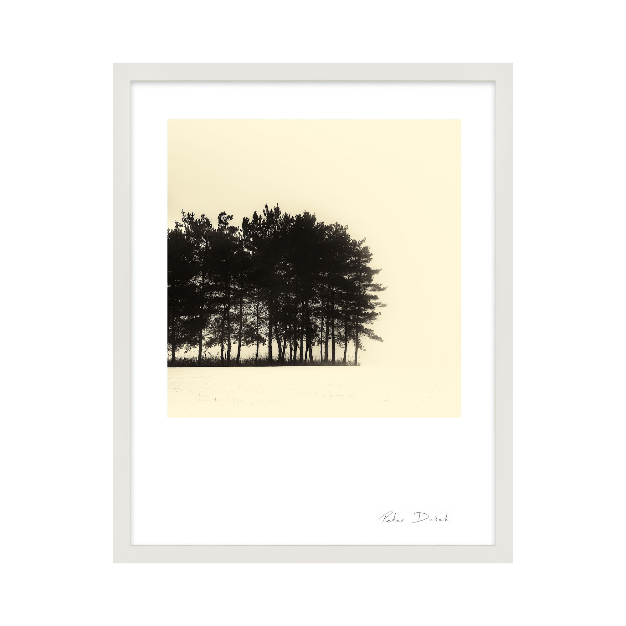 Copse by Peter Dušek, White, 30" H x 24" W x 1.25" D