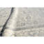 Oriental Area Rug in Light Gray/Beige