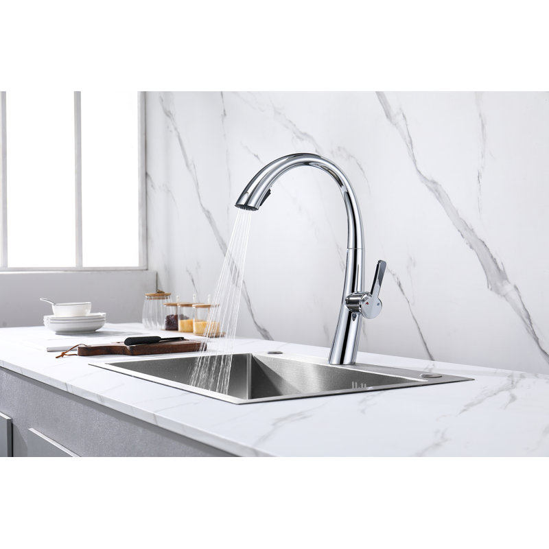 CERYPSA Pull Out Kitchen Faucet, Chrome