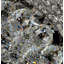 Lustre tambour 8 lumières unique Huse
