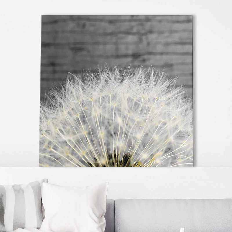 Délicat pissenlit - photographie, Toile tendue, H 24 po x l 24 po x P 1,5 po