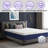 14'' Medium Firm Hybrid Pillow Top Mattresses In A Box-1329948713