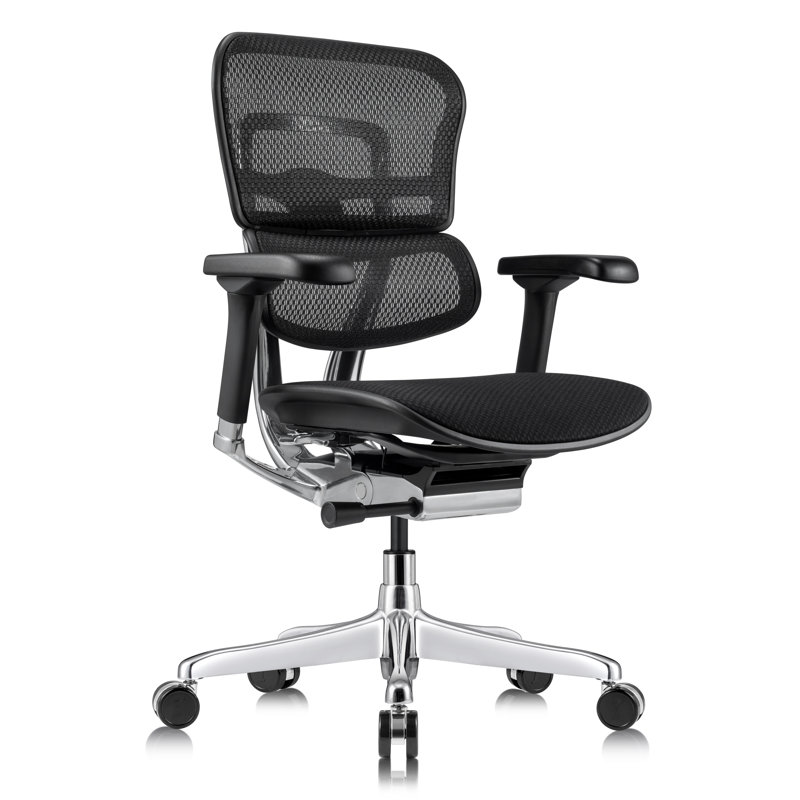 Tempur-Pedic Ergohuman GEN2 Mid Back Ergonomic Office Chair with Tempur-Pedic Seat, Adjustable Arms, Seat Height, Tilt Lock and Lumbar Support, Mesh Back