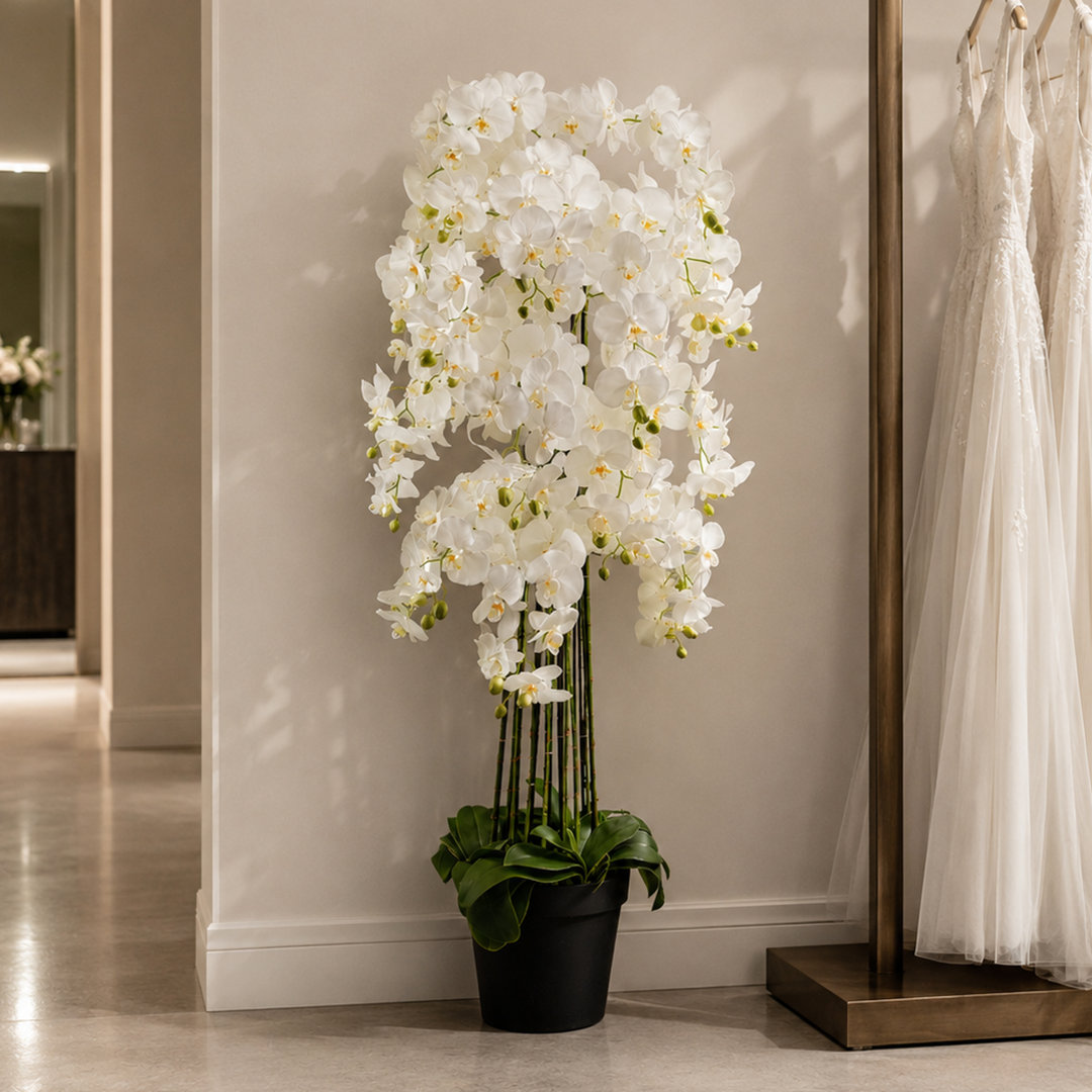 Real Touch Artificial Orchids Plastic, Silk Artificial Arrangement in Planter
