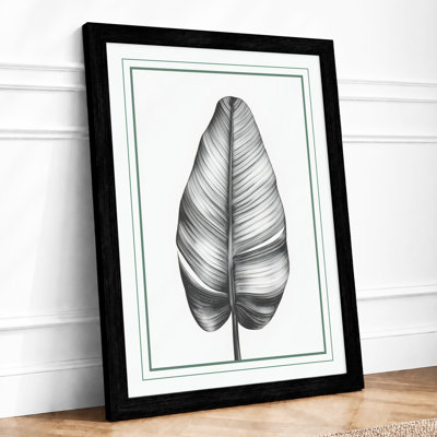 Single Stem In Black Botanical - Print