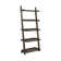 Browdy Ladder Bookcase