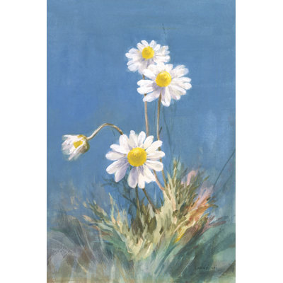 White Daisies No Butterfly by Danhui Nai - Wrapped Canvas Print