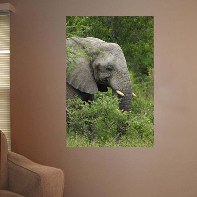 Animals Non-Wall Damaging Wall Decal, 36" H x 24" W