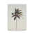 Unframed is unavailable