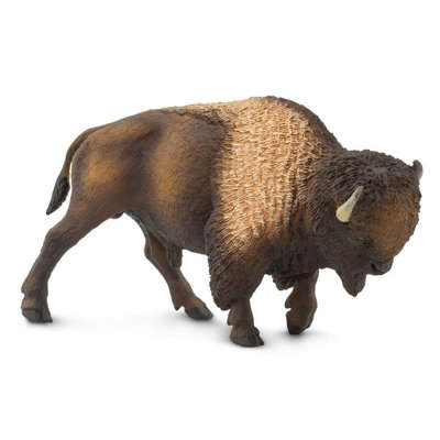 Bison