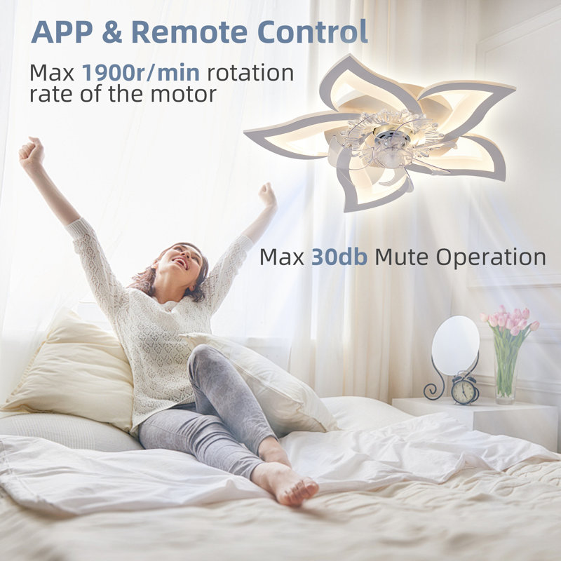 Ceiling Fans With Lamps And Remote, Reversible Dc Motor, 6 Speed, Dimmable, Memory Function, For Bedroom.