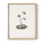 «Vintage Floral Print XVIII», impression encadrée sur papier-1815478855-1815478852