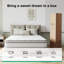 Matelas hybride en mousse à mémoire de forme moyenne 14 po Novilla-108771438-108771441