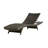 Billur Outdoor Chaise Lounge Set （Set of 2）
