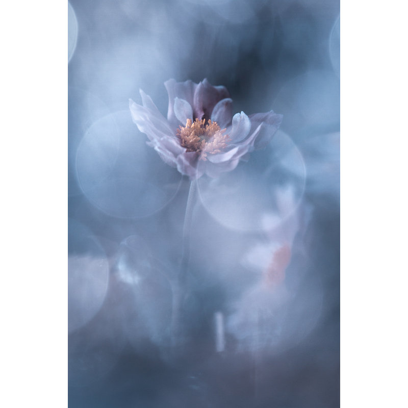 Wrapped Canvas Print, 76.2cm H x 50.8cm W