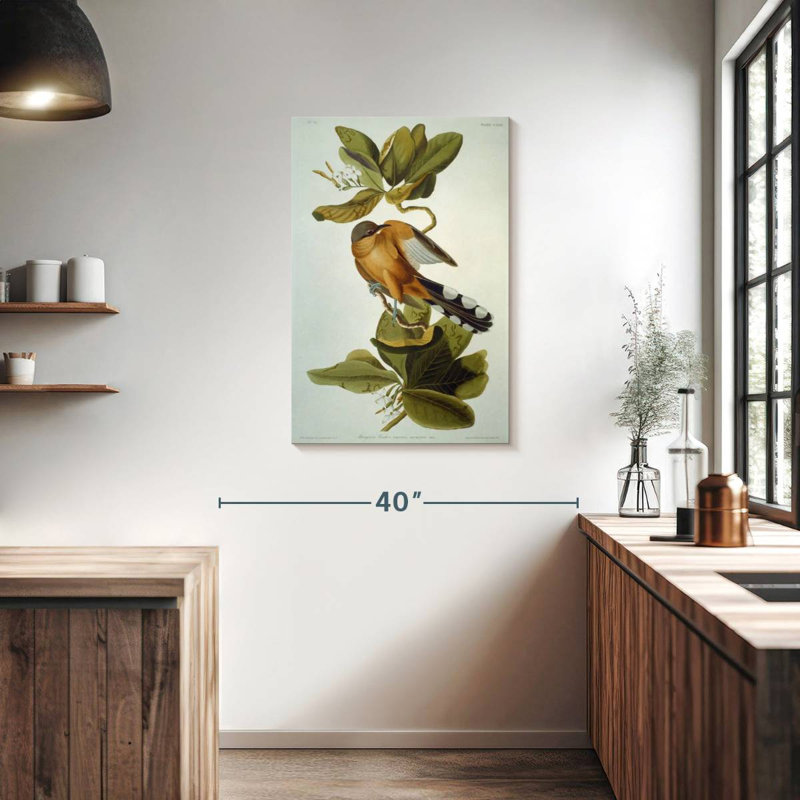 Brampt Mangrove Cuckoo, 36" H x 24" W
