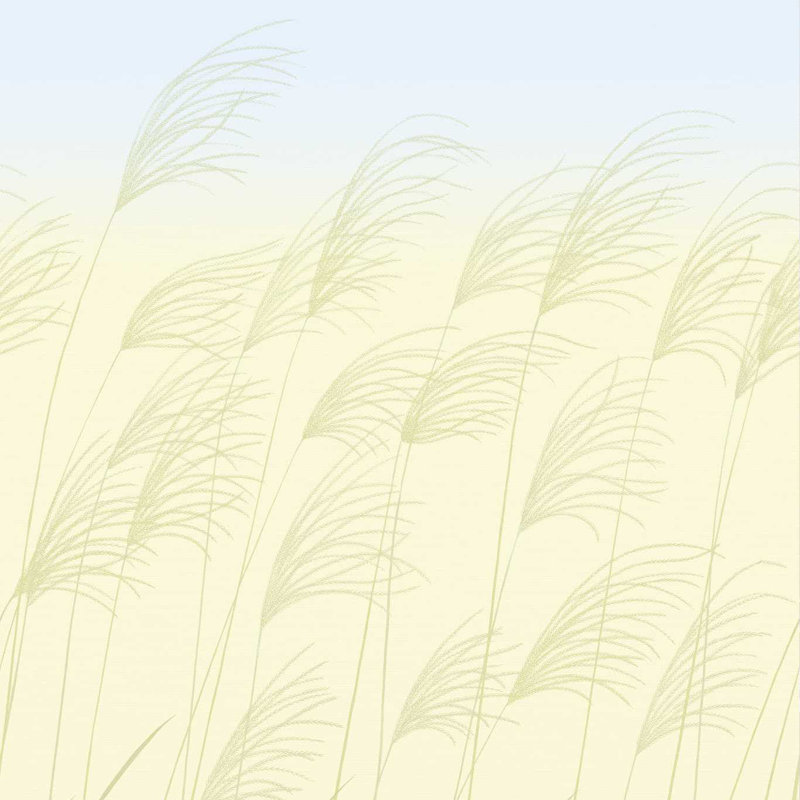 Miscanthus, Buttermilk/Sky