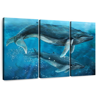 Baleines à bosse majestueuses