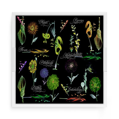 Botanicals Xray Acrylic Square Decorative Tray