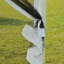 Tente pour fête en acier l 30 pi x P 10 pi-98251537