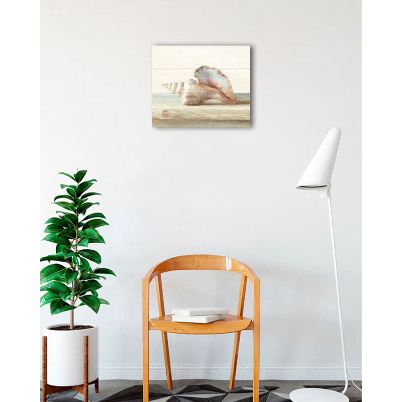 Driftwood Shell IV - Impression sur toile tendue, H 18 po x l 18 po
