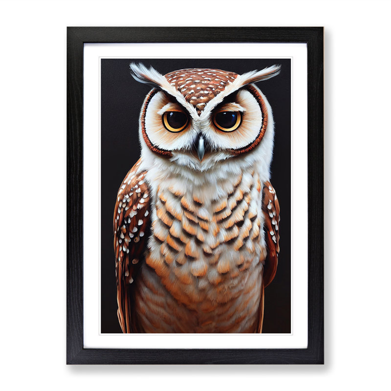 Owl Portrait No.5 - Framed Print, Black Framed, 64cm H x 46cm W x 2cm D