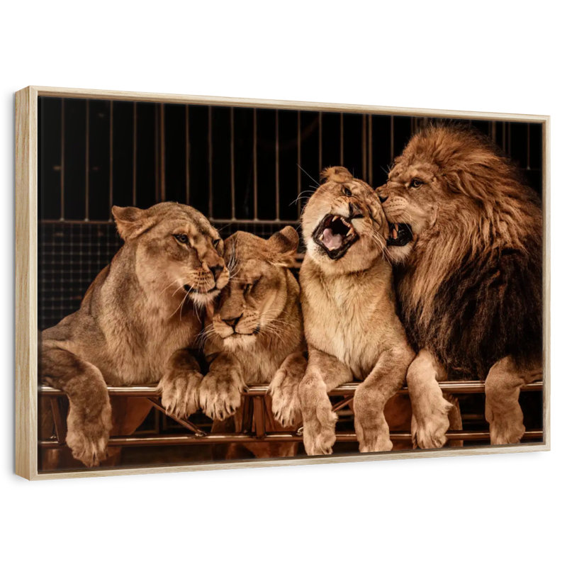 Fierté des lions, Cadre flottant en bois naturel, 31 po x 21 po