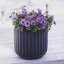 Pot de fleurs Allenville Fiberstone-1717907415-1717968729