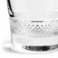 Kinship Kite Tumbler 310ml/10.5oz Set of 2