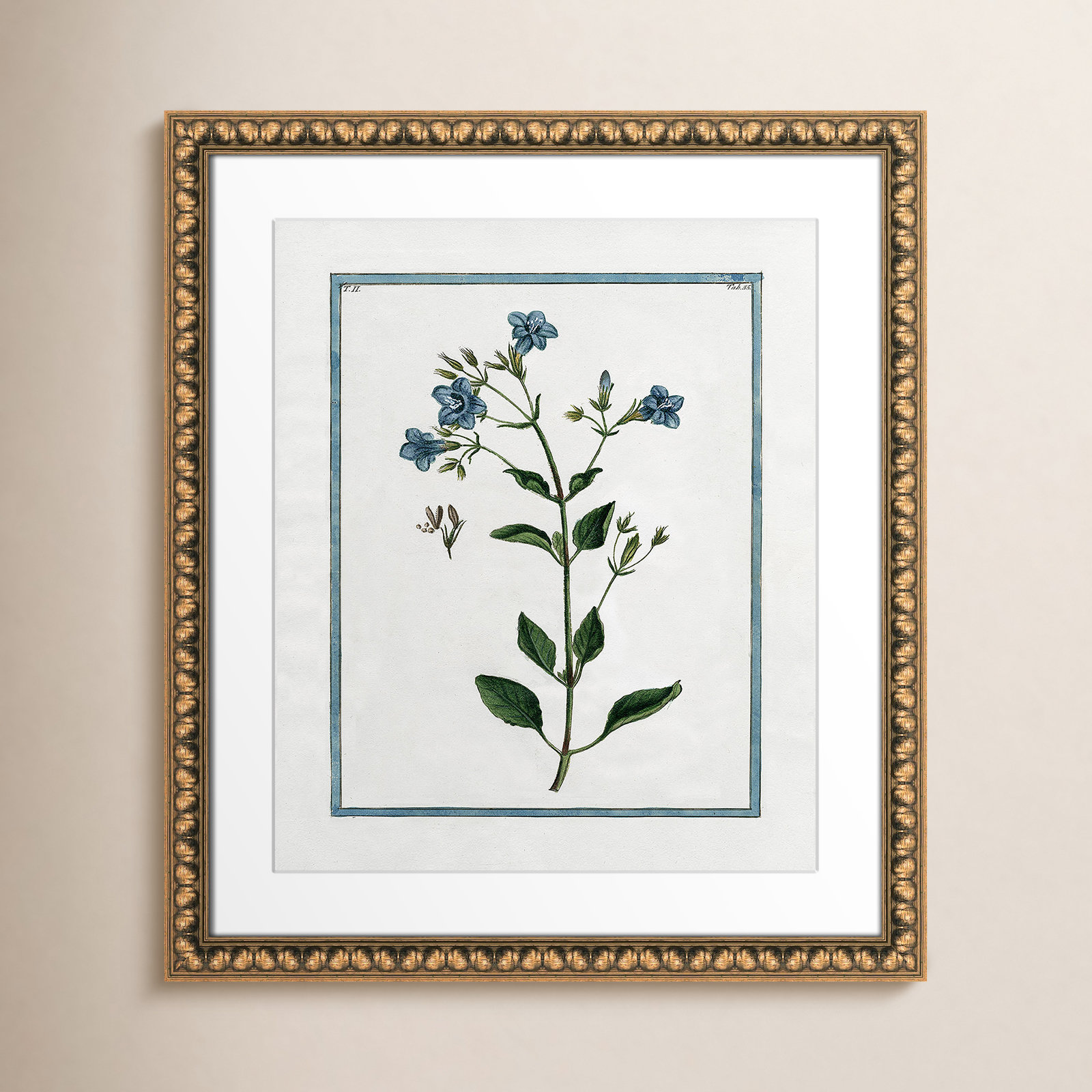 Colombe "Shabby Elegance Botanical II" Print, Gold Bead Framed, 17" W x 20" H